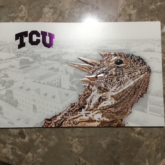 TCU Horned Frogs- Brochure, Ink Pen, Cut Out & Sticker - Picture 2 of 13